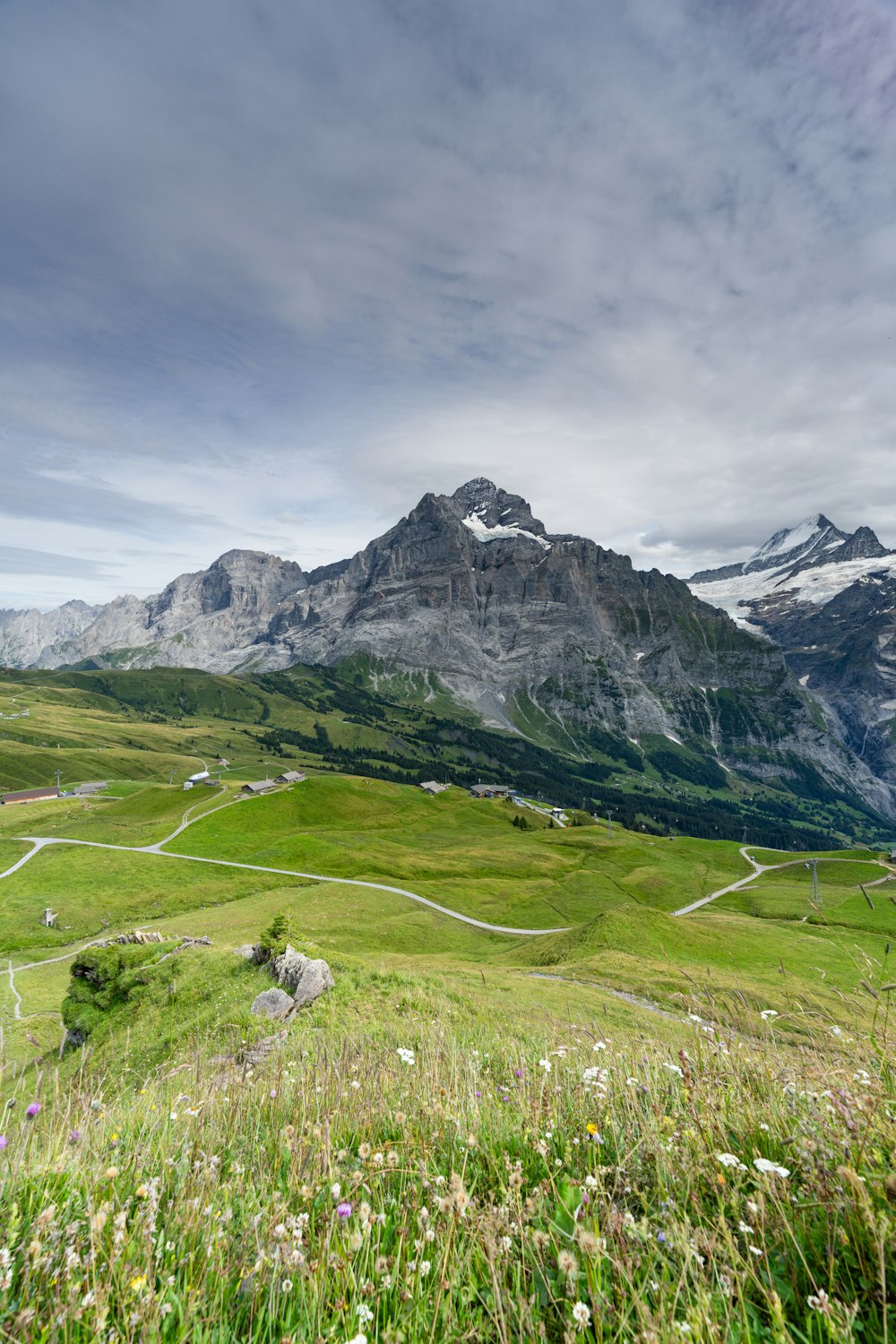 eine Wiese mit einem Berg im Hintergrund