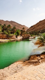 a body of water surrounded by mountains and palm trees