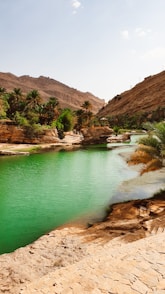 a body of water surrounded by mountains and palm trees