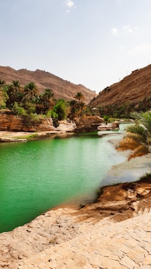 a body of water surrounded by mountains and palm trees
