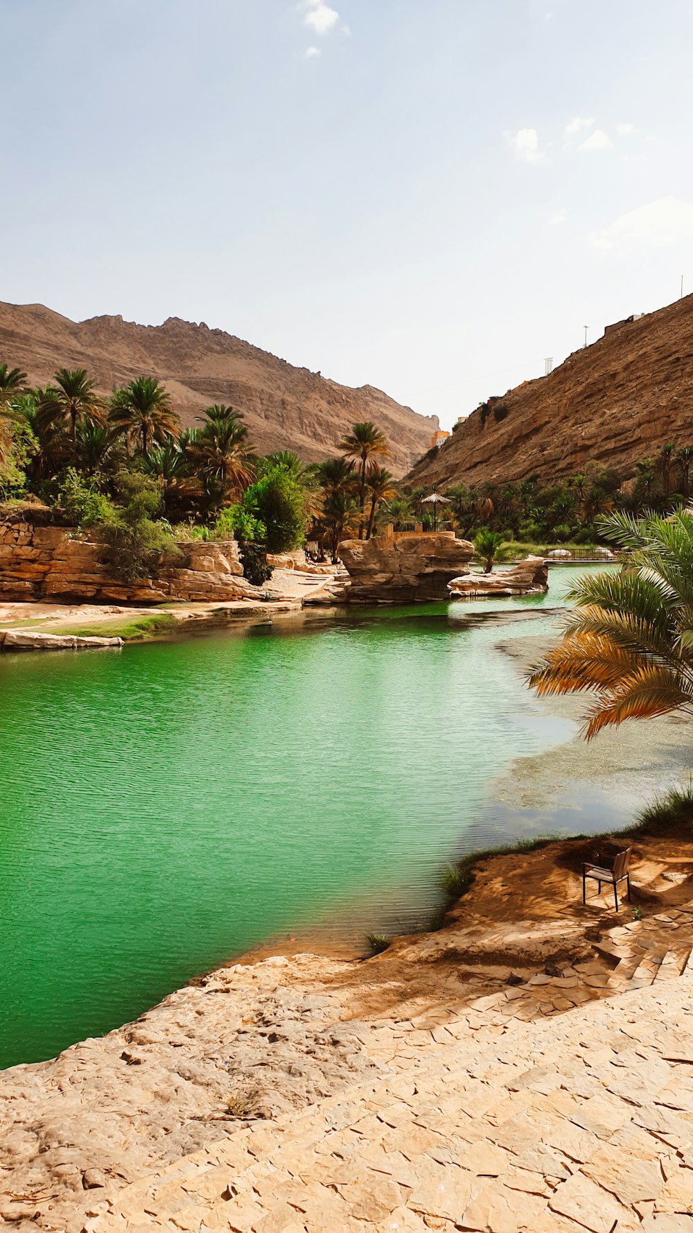 a body of water surrounded by mountains and palm trees