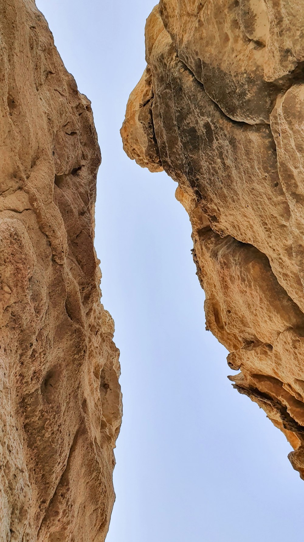 a bird is perched on a rock ledge