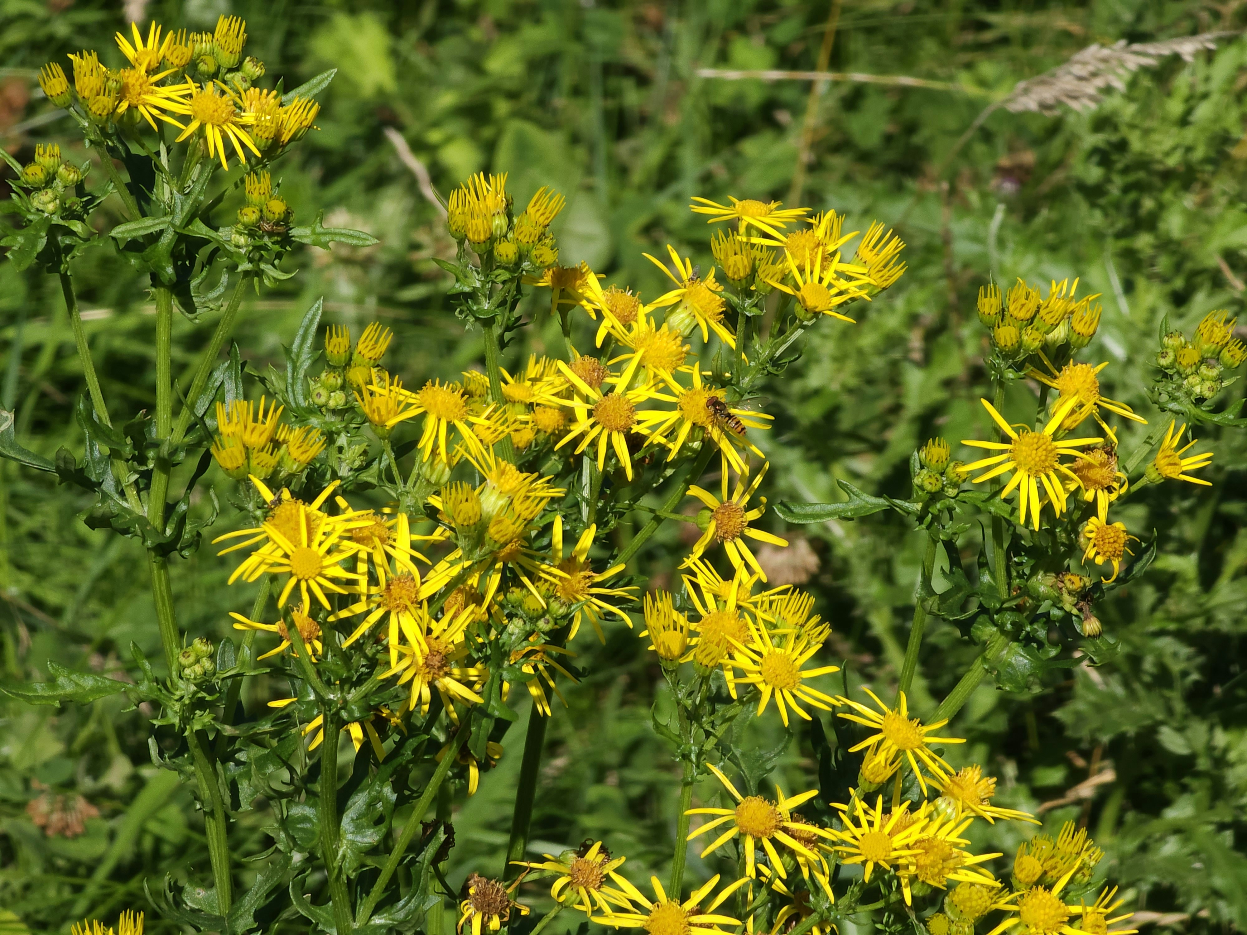 Photo by littlepiscesdreaming