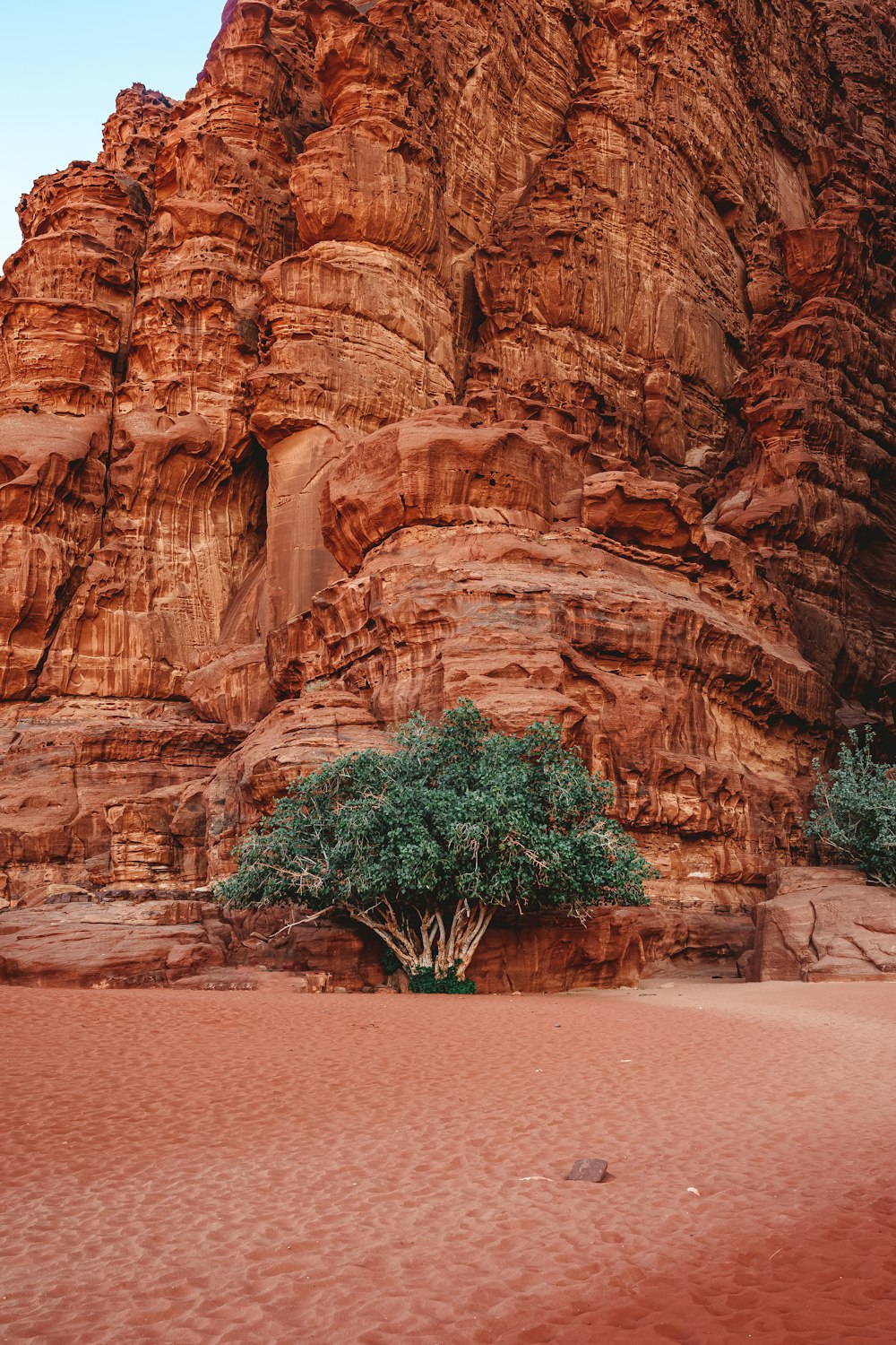 a rocky mountain with a tree in the middle of it