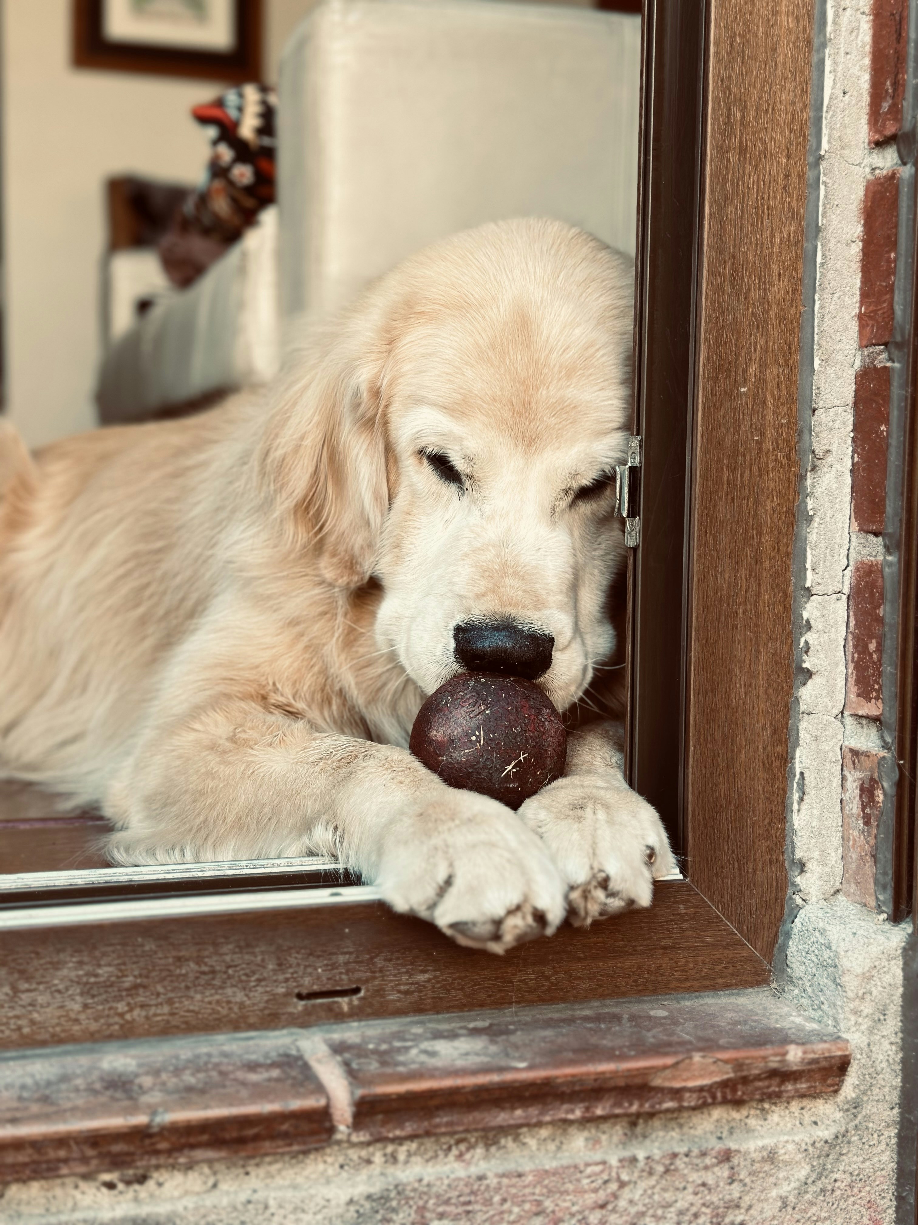 They Lose Their Appetite Without You (image credits: unsplash)