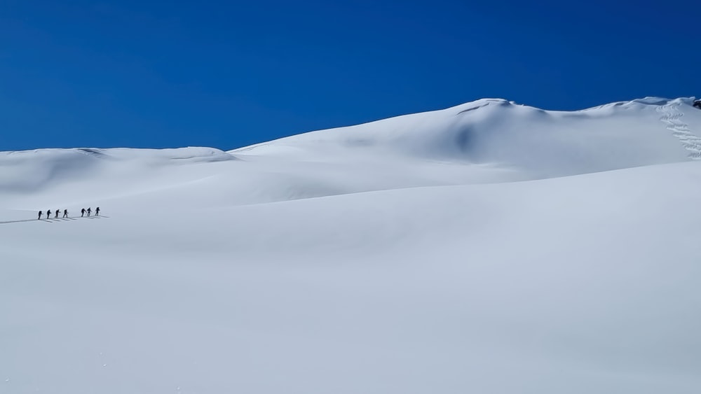 a group of people riding skis down a snow covered slope