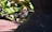 A black rat is partially concealed behind a large garden pot, surrounded by green foliage and natural sunlight. The texture of the rat's fur is visible along with its small round ear and bright eye. The setting appears to be a garden or outdoor space with various plants.