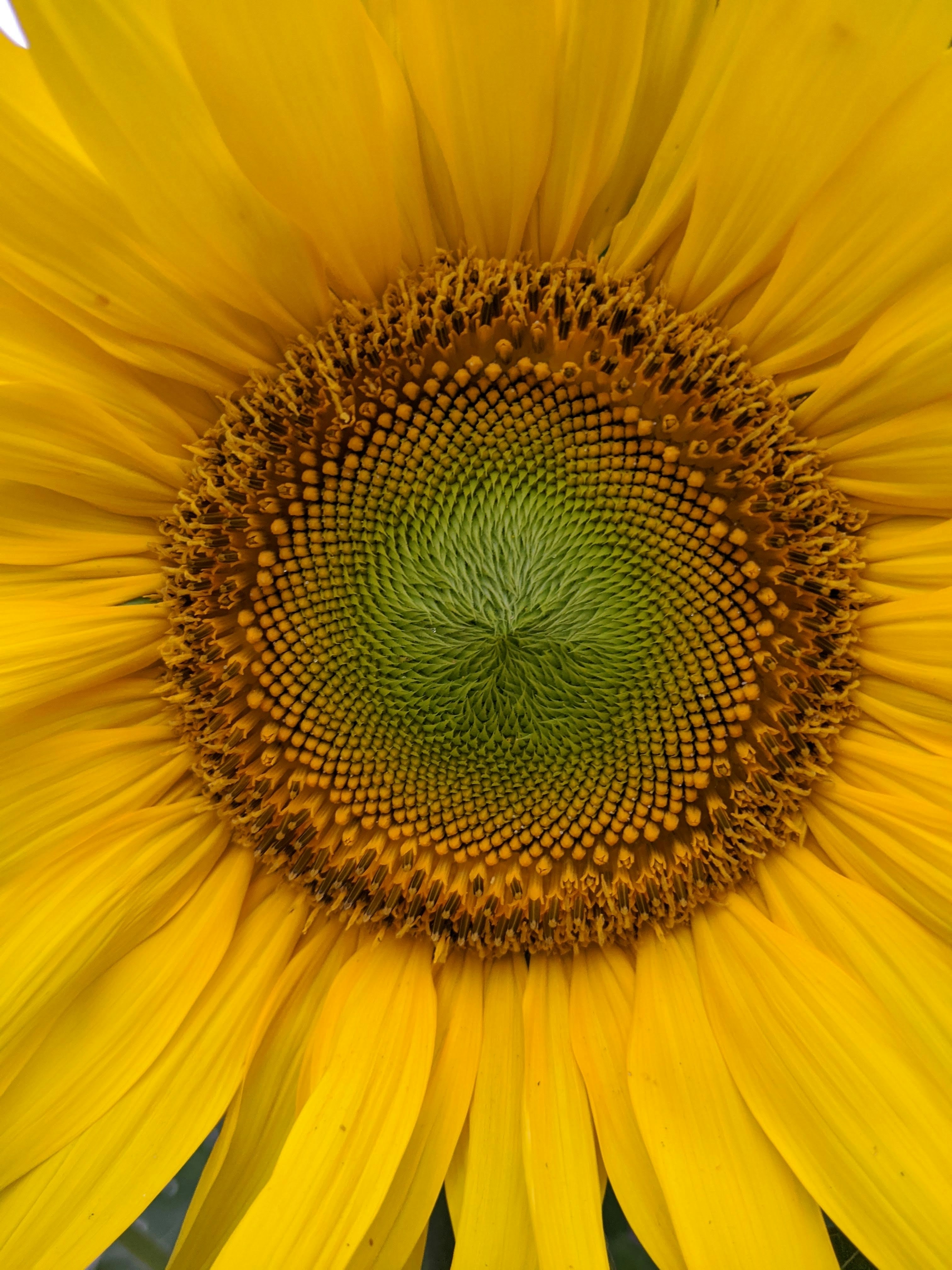 Redefining Reality: An Exploration of Contemporary Fiction