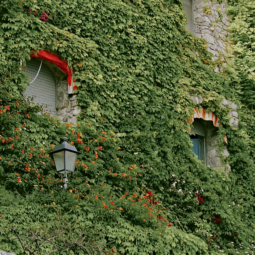 a building covered in vines and flowers next to a street light