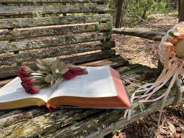 A peaceful park bench with a book open to a chapter about hope, surrounded by blooming flowers.