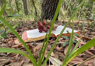 Close-up of an open book resting on a bed of moss, with delicate wildflowers gently scattered around the pages.