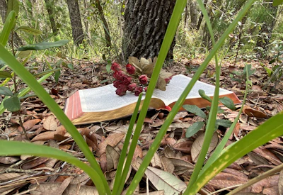 Close-up of a worn leather-bound journal lying next to a blooming alpine flower on a forest path.