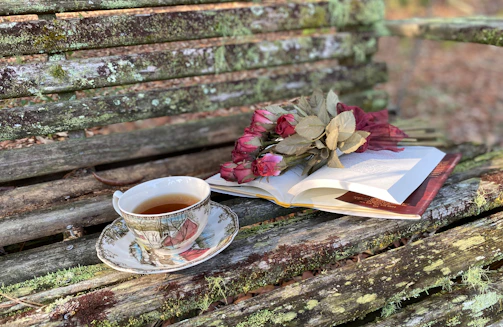 A serene outdoor scene with a bench, a book, and a cup of tea inviting reflection.