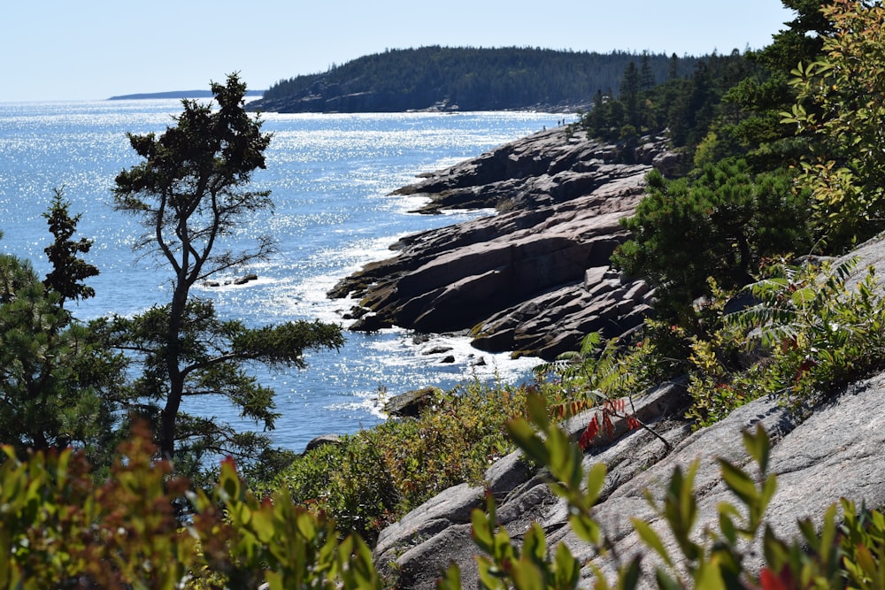 a view of the ocean from the top of a hill