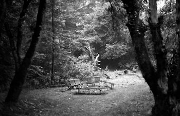 A black and white photograph of a quiet forest clearing with chairs arranged in a circle. Tall trees with thick trunks frame the scene, and dense foliage covers the background, creating a secluded and intimate atmosphere. The grass under the chairs is slightly overgrown, suggesting an undisturbed natural setting.