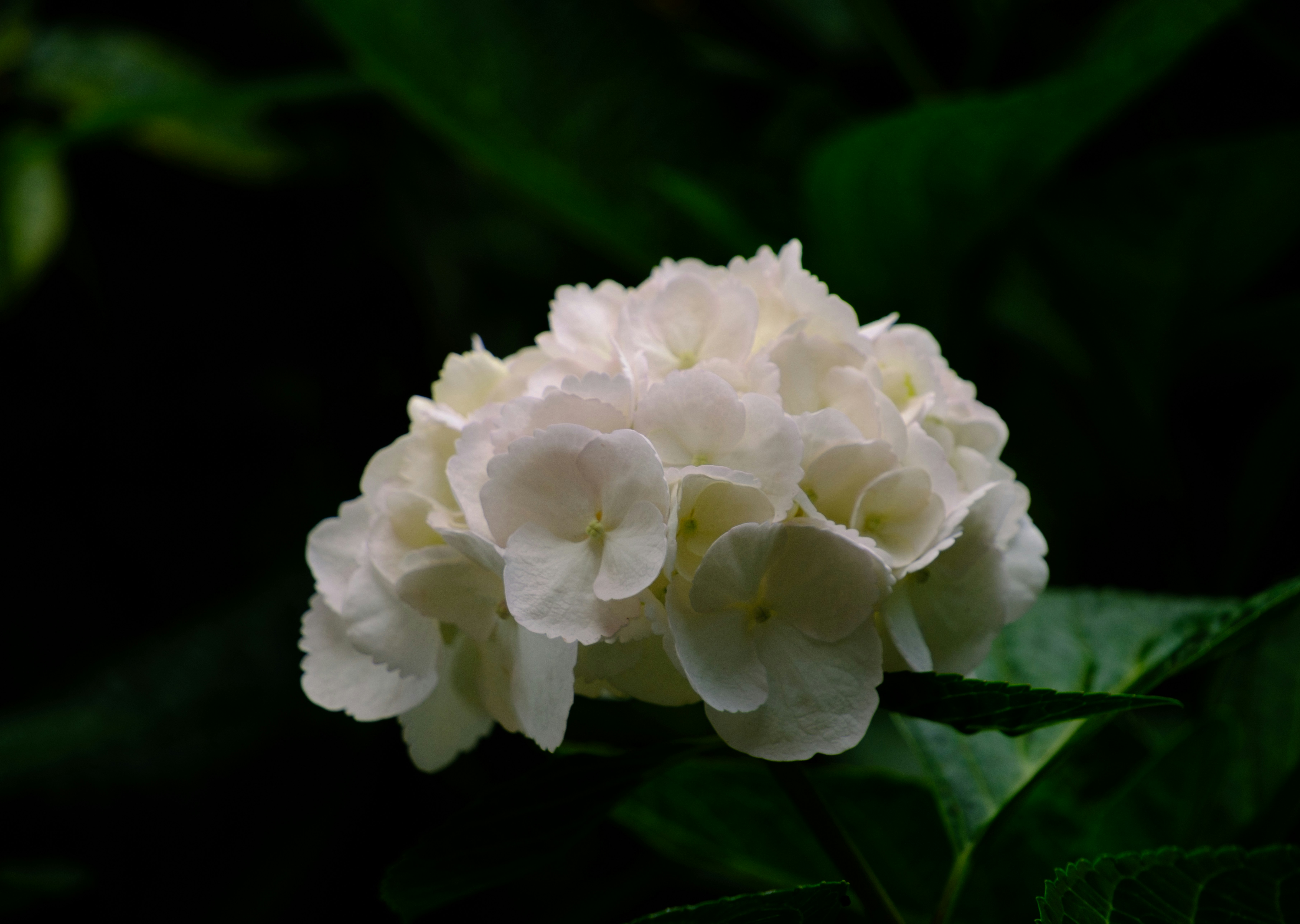 Photo by april_vasquez