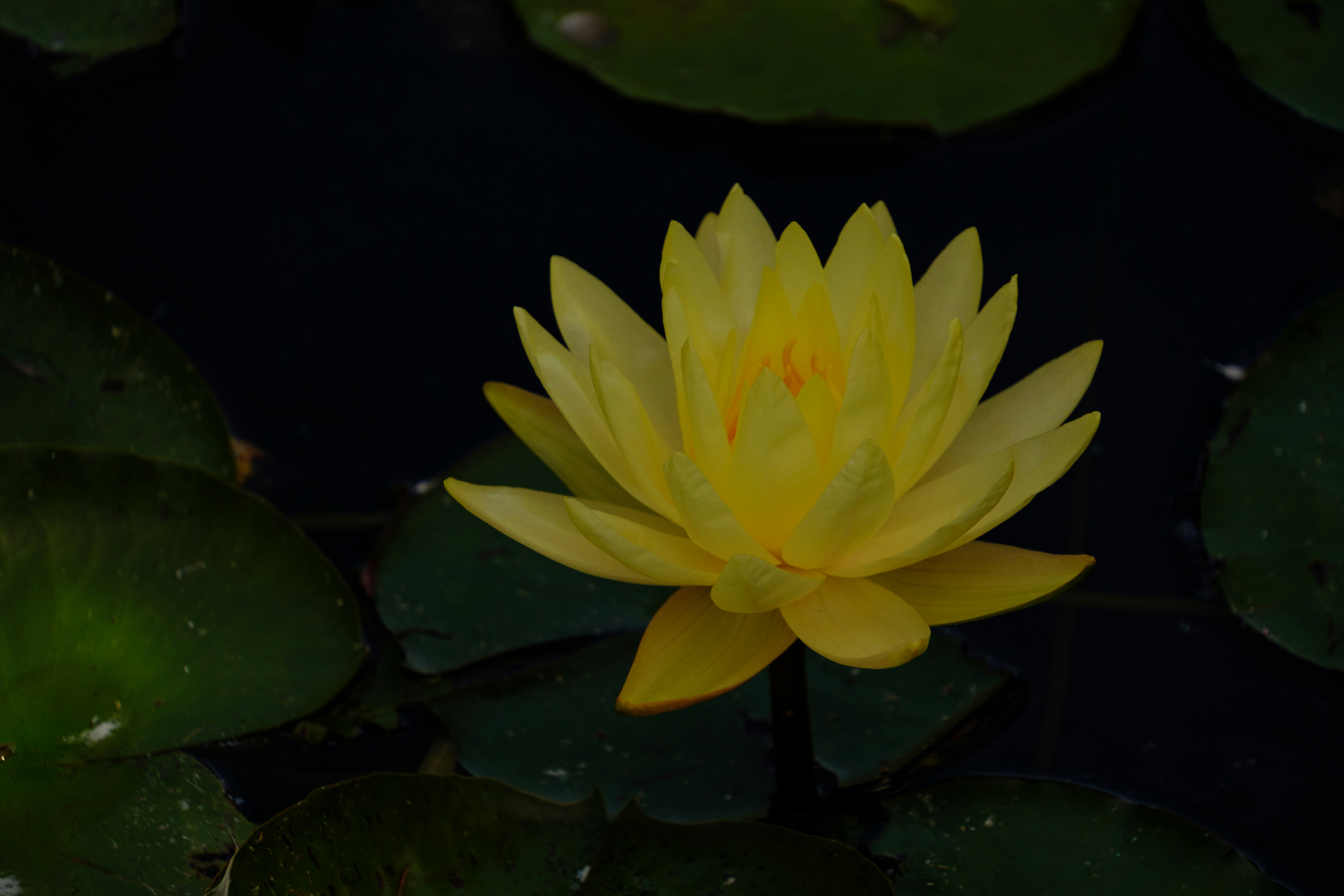 Photo by april_vasquez