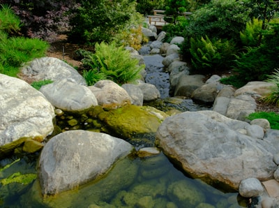 A serene scene of someone watching a streaming video on a laptop in a peaceful garden.
