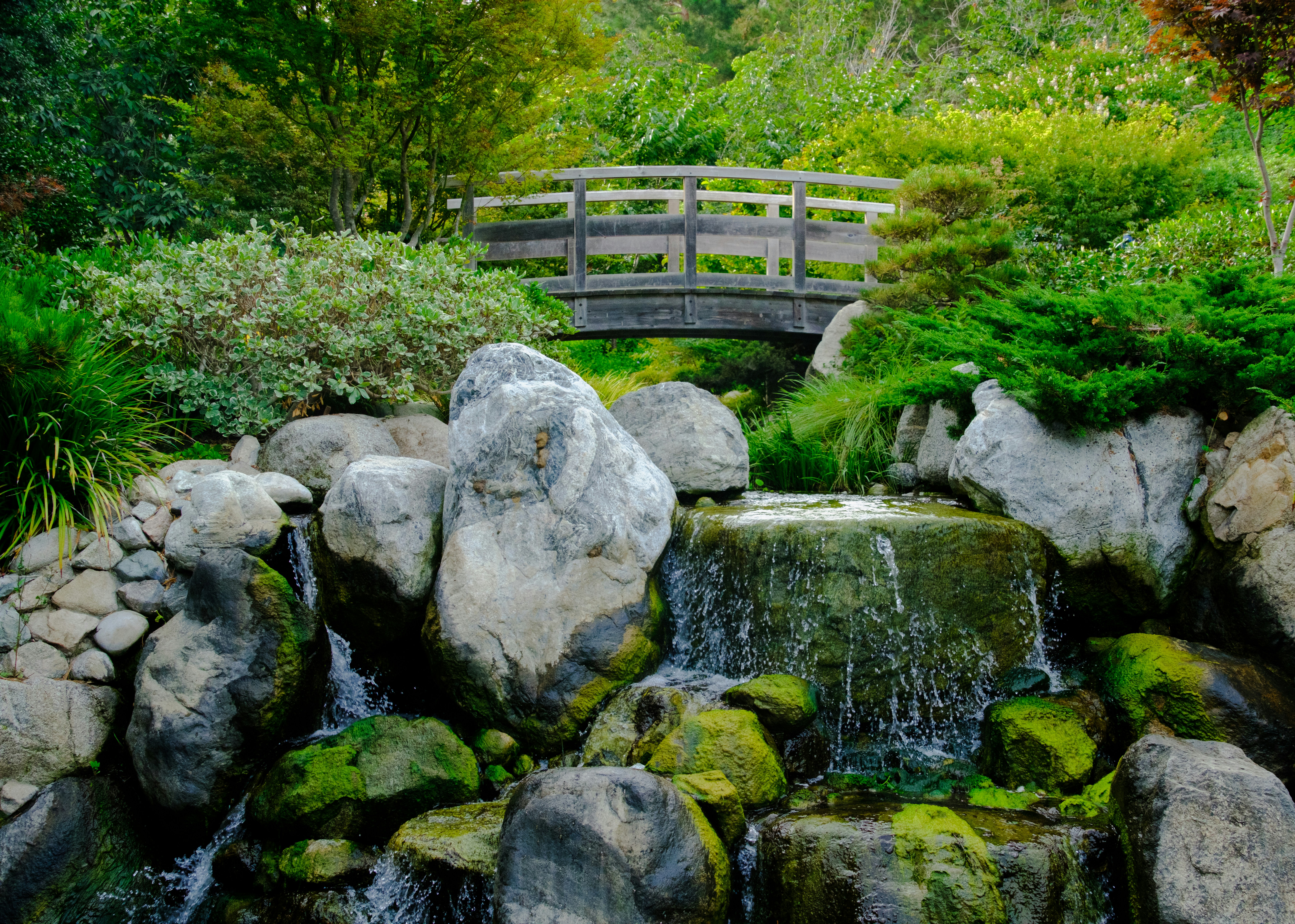 Photo by april_vasquez