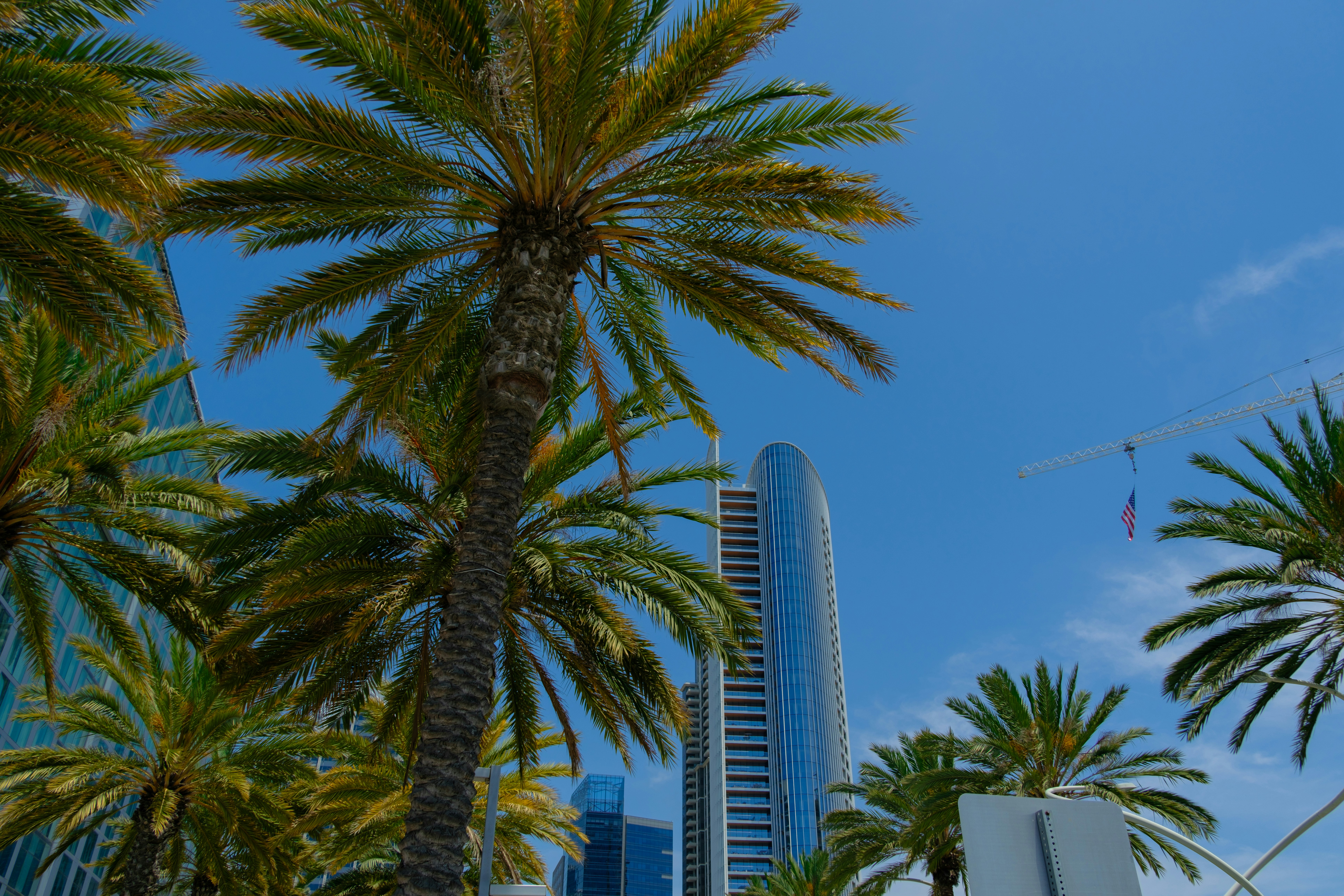 Photo by april_vasquez