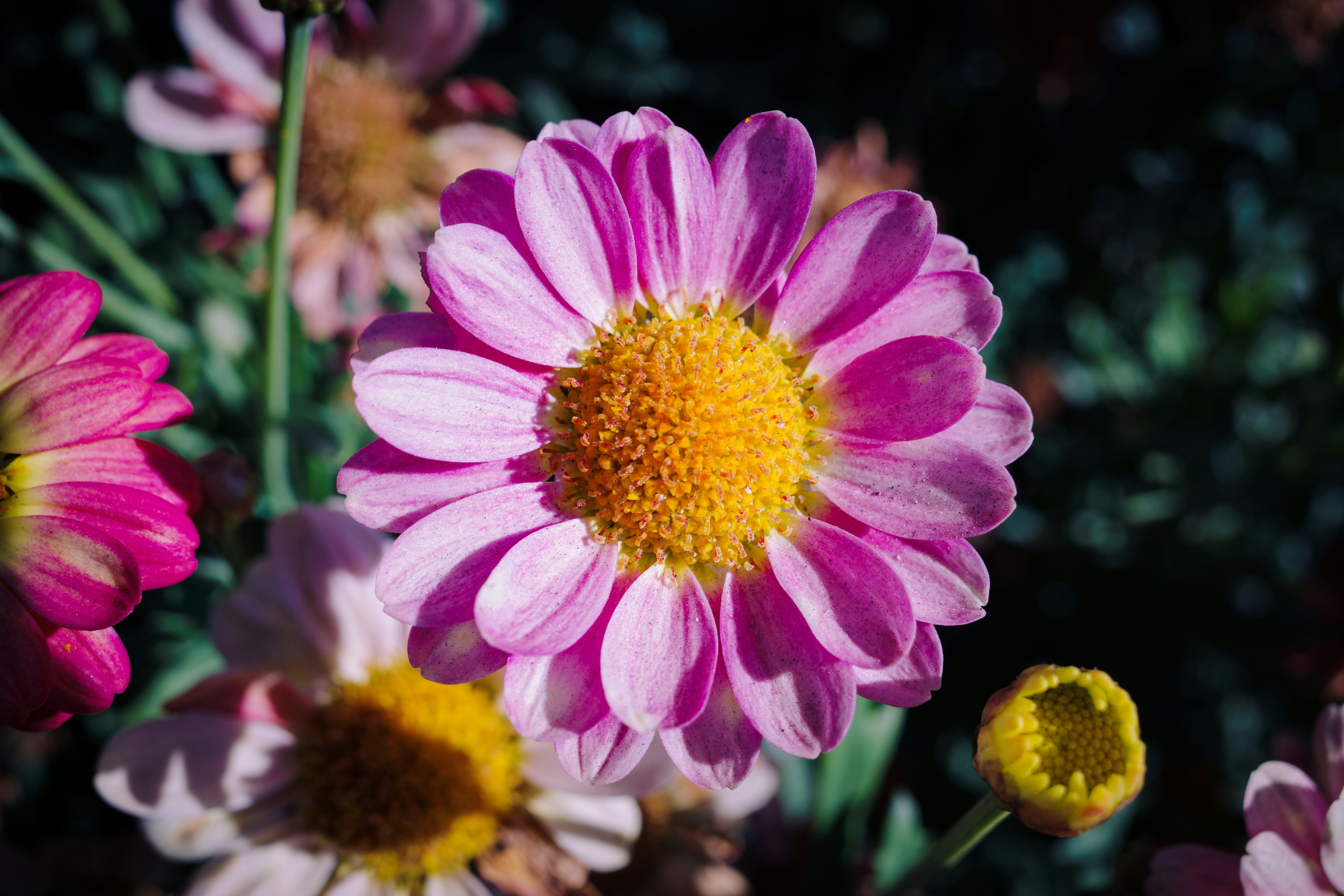 Photo by april_vasquez