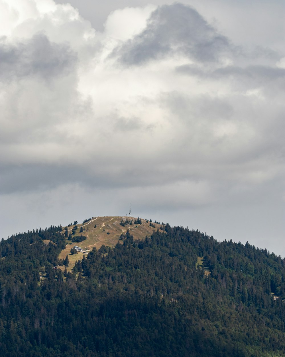 a hill with a tree covered mountain in the background