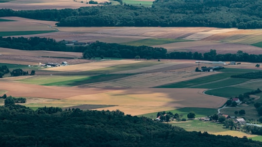 Aerial view of a rural landscape featuring expansive agricultural fields in various shades of green and brown. There are patches of forest in the distance and a few scattered farmhouses and buildings. The landscape is gently rolling with a mix of cultivated fields and natural vegetation.