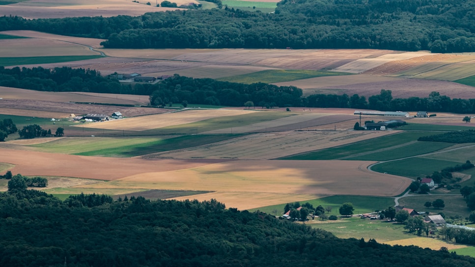 Aerial view of a rural landscape featuring expansive agricultural fields in various shades of green and brown. There are patches of forest in the distance and a few scattered farmhouses and buildings. The landscape is gently rolling with a mix of cultivated fields and natural vegetation.