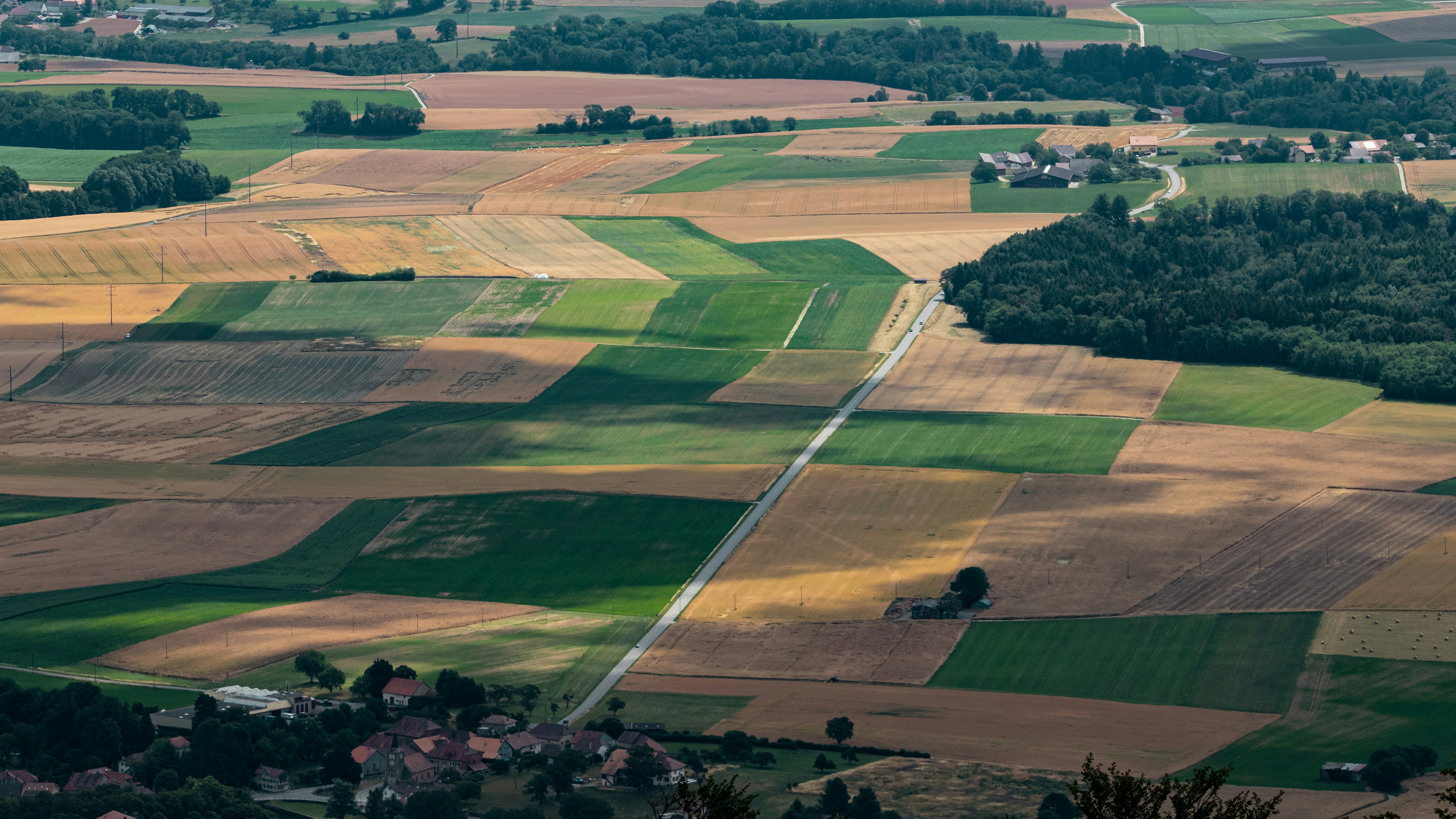 Photo by matthieur68