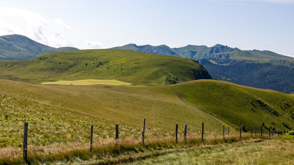 a grassy field with mountains in the background