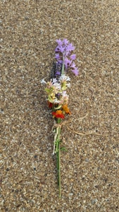 Natural Floral Essence