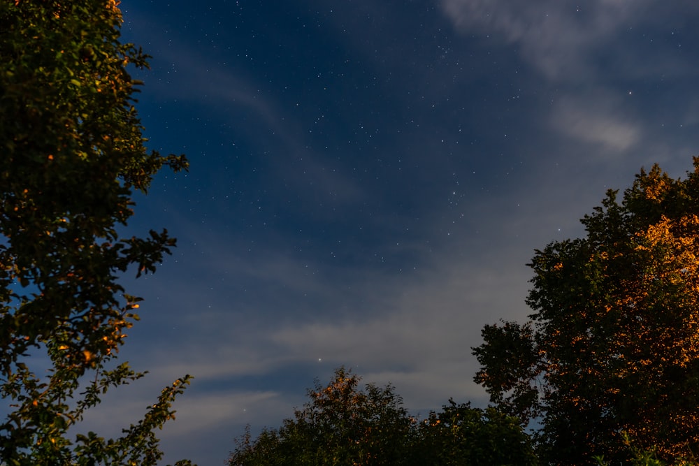 a night sky with a few stars above some trees