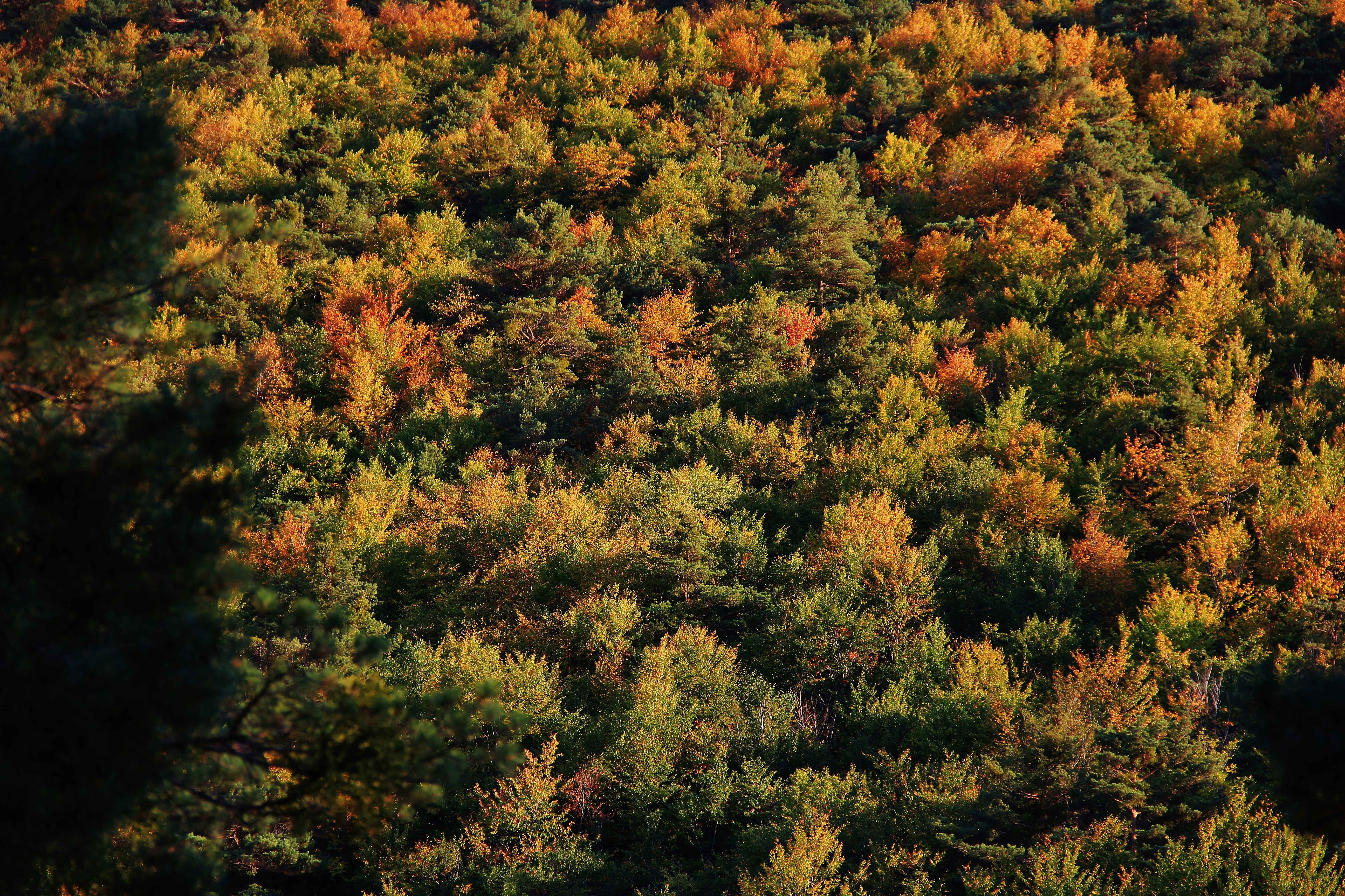 Photo by ahmetruzgar