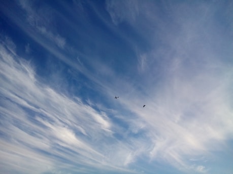 An expansive sky filled with wispy, streaky clouds. A small plane and a bird are visible flying through the sky, creating a sense of movement and scale against the vastness of the clouds.