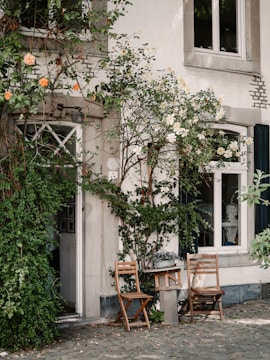 A charming outdoor space with two wooden chairs and a small table placed against a house. Climbing roses and lush greenery frame the doorway and windows. The cobblestone pavement is visible with scattered leaves, adding to the rustic ambiance.