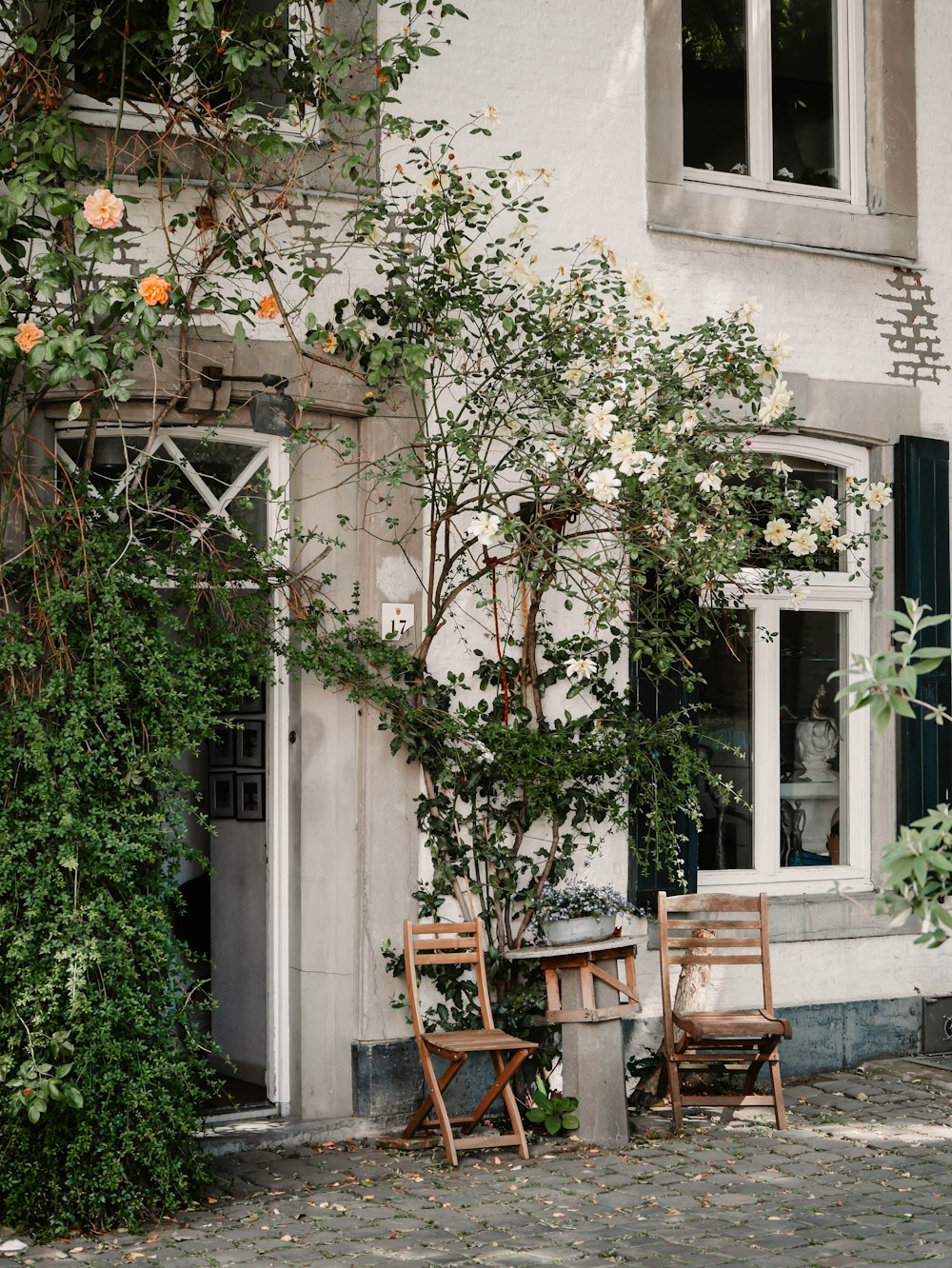 a couple of wooden chairs sitting next to a tree