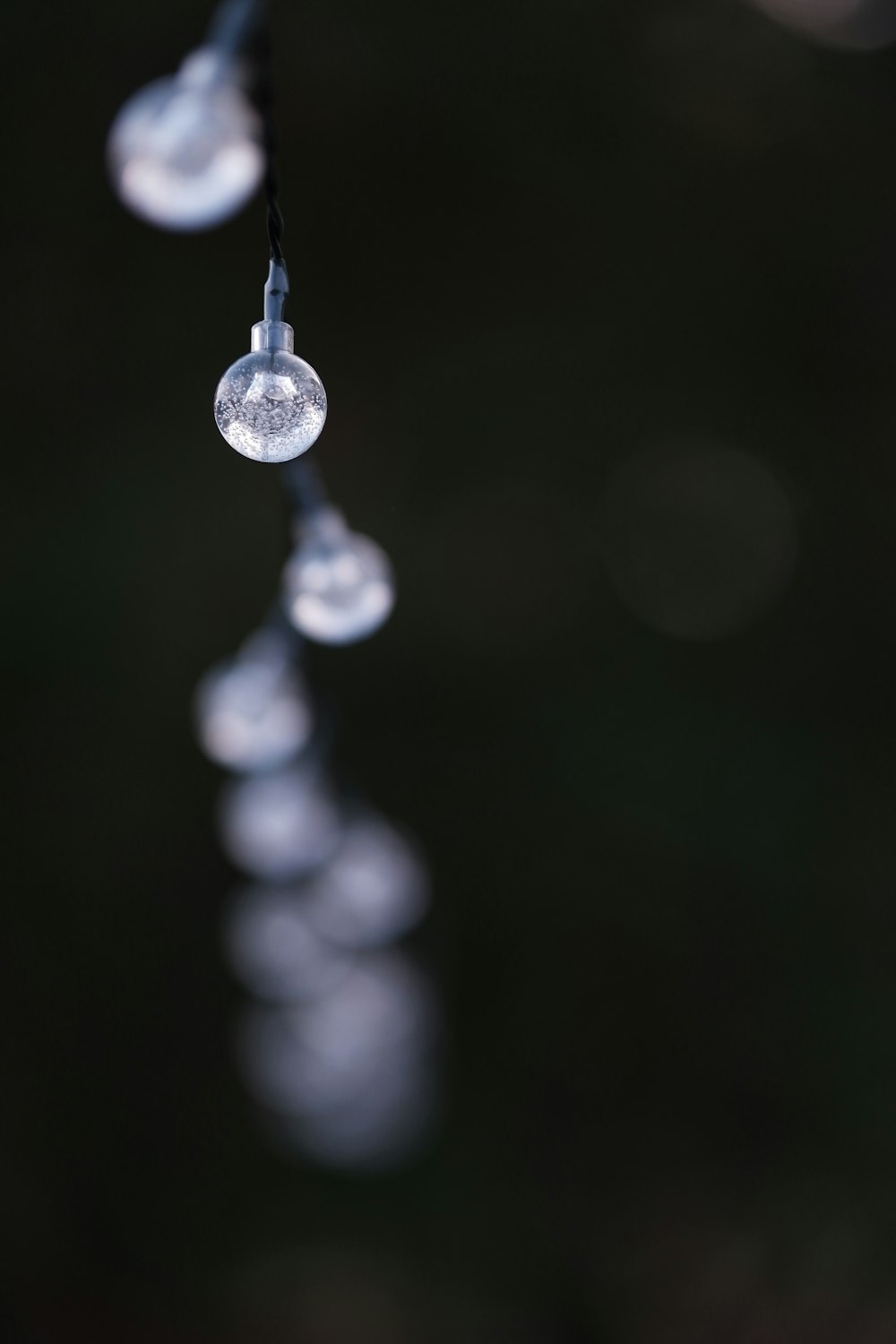 drops of water hanging from a line of lights