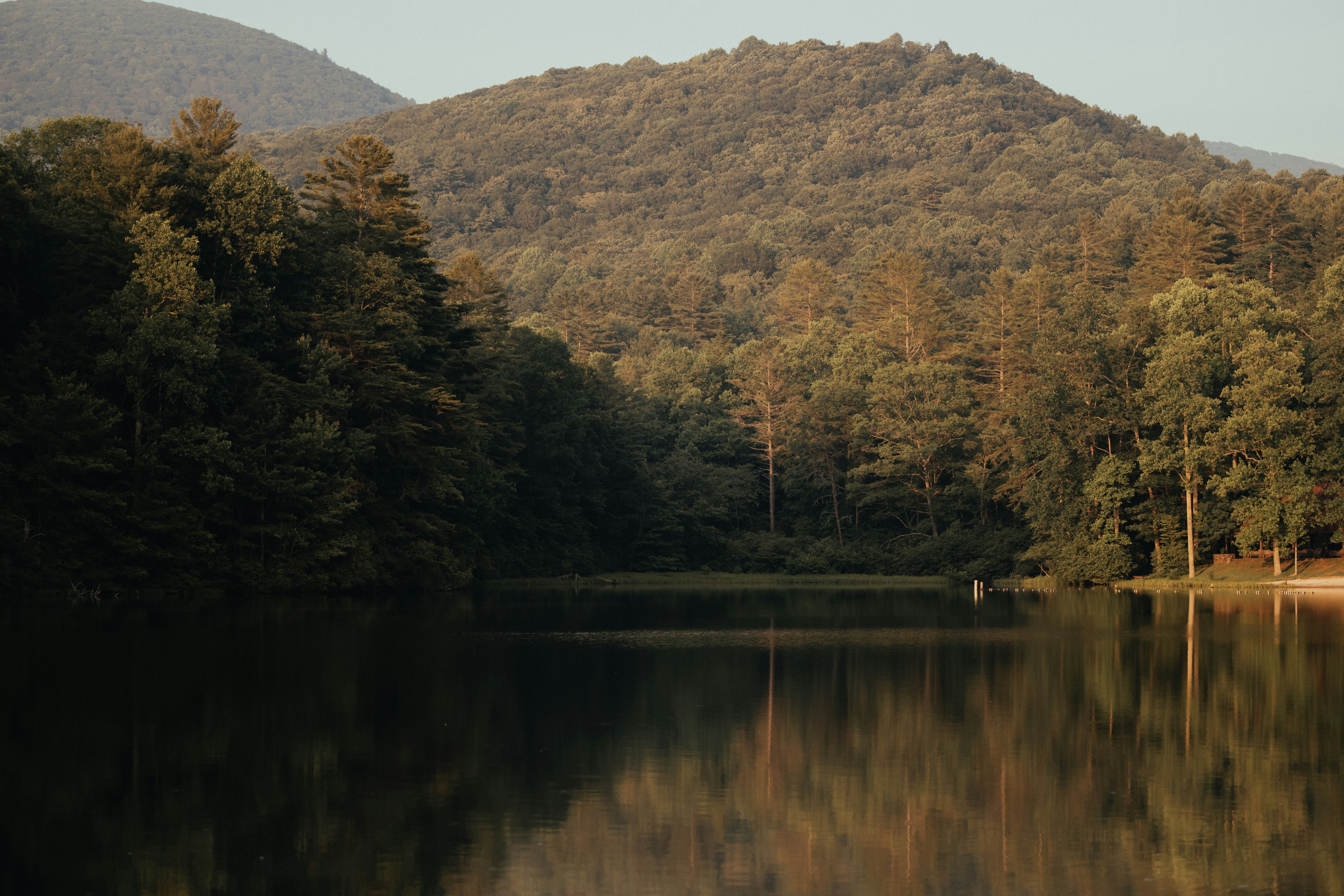 a body of water surrounded by trees and mountains