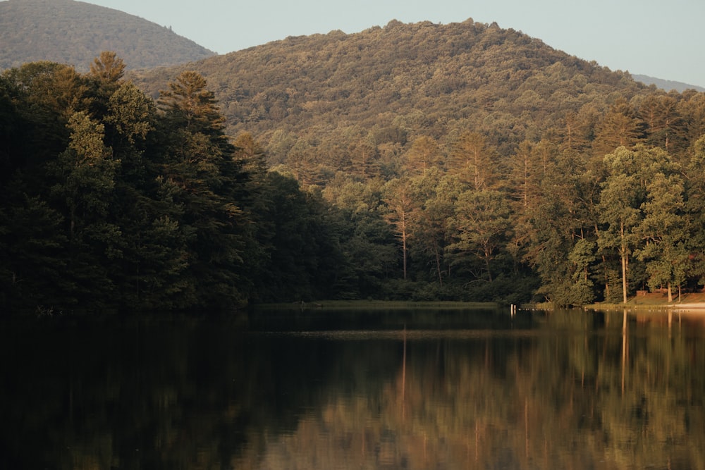 a body of water surrounded by trees and mountains