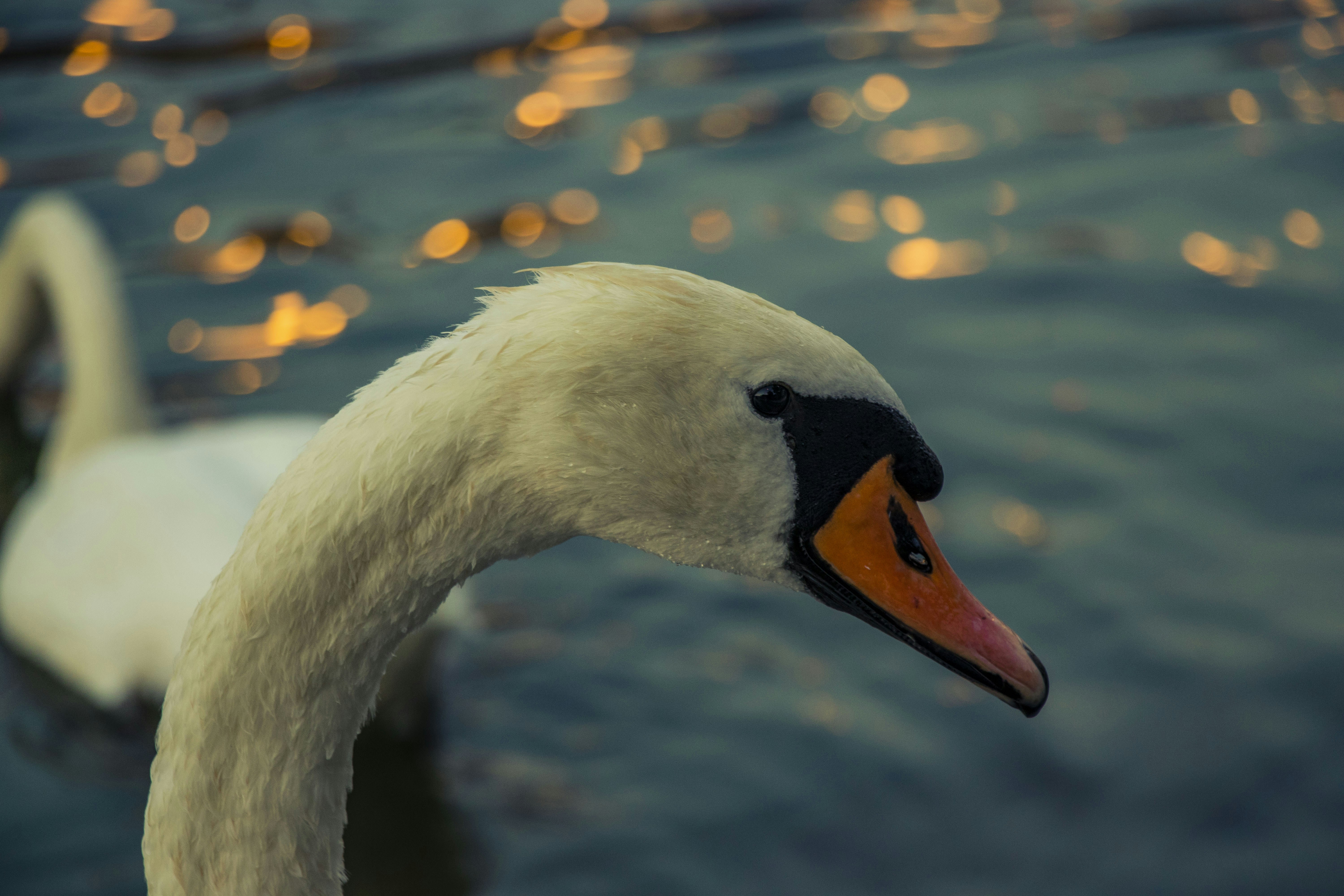 Photo by iversonmodo