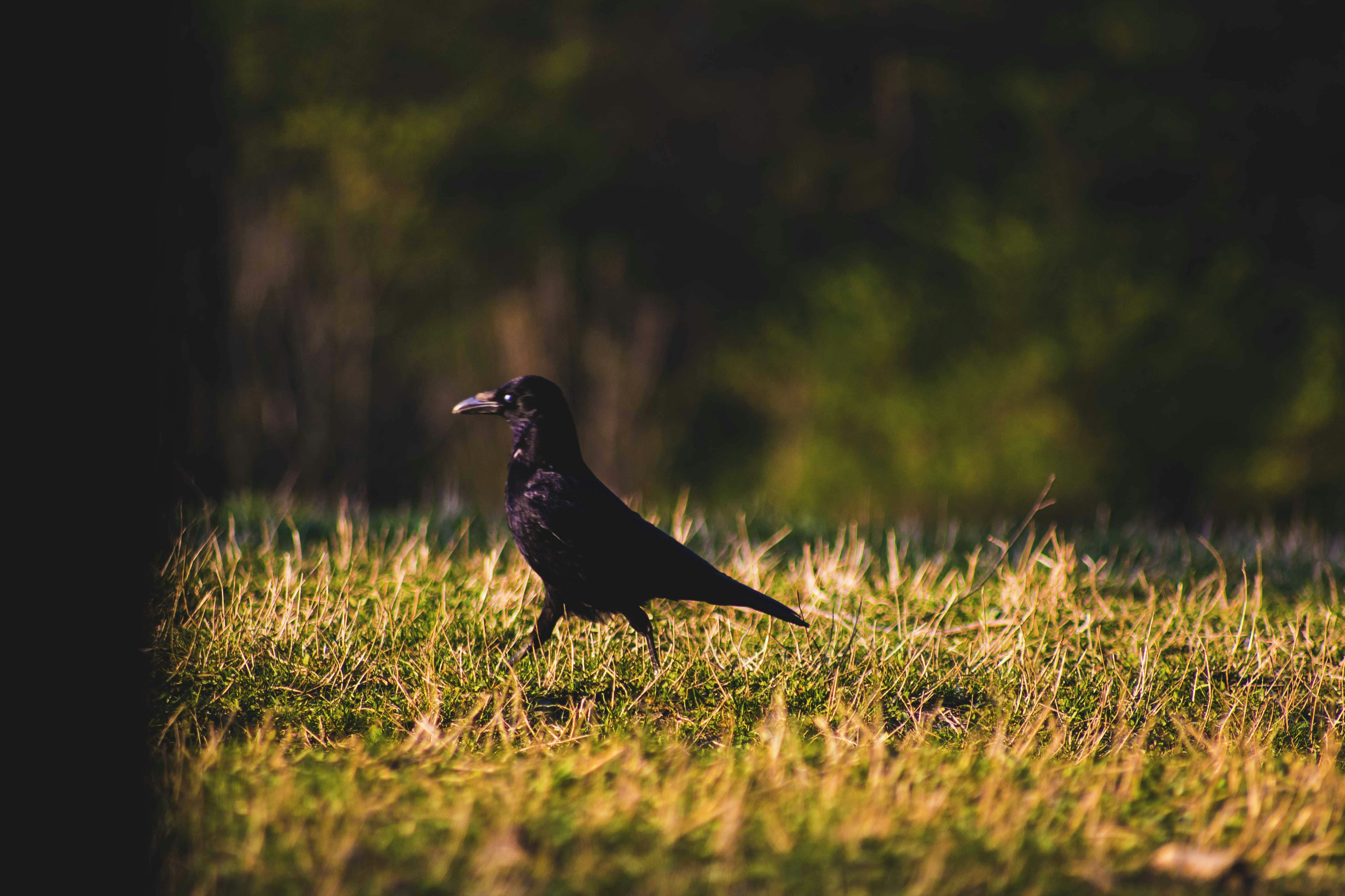 Photo by iversonmodo