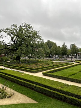 a large green garden with hedges and trees