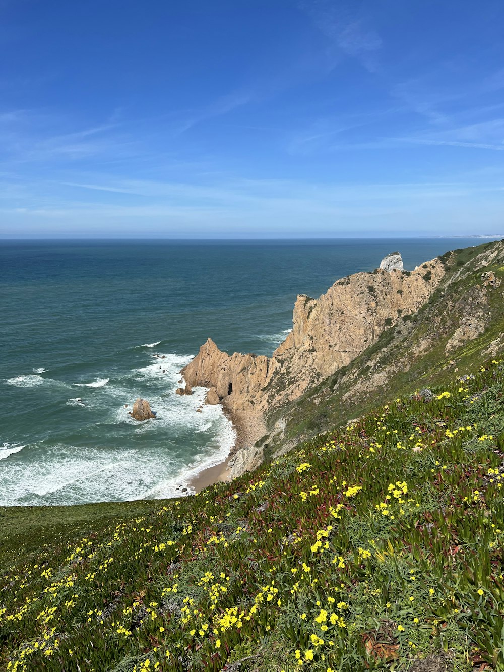 a view of the ocean from the top of a hill