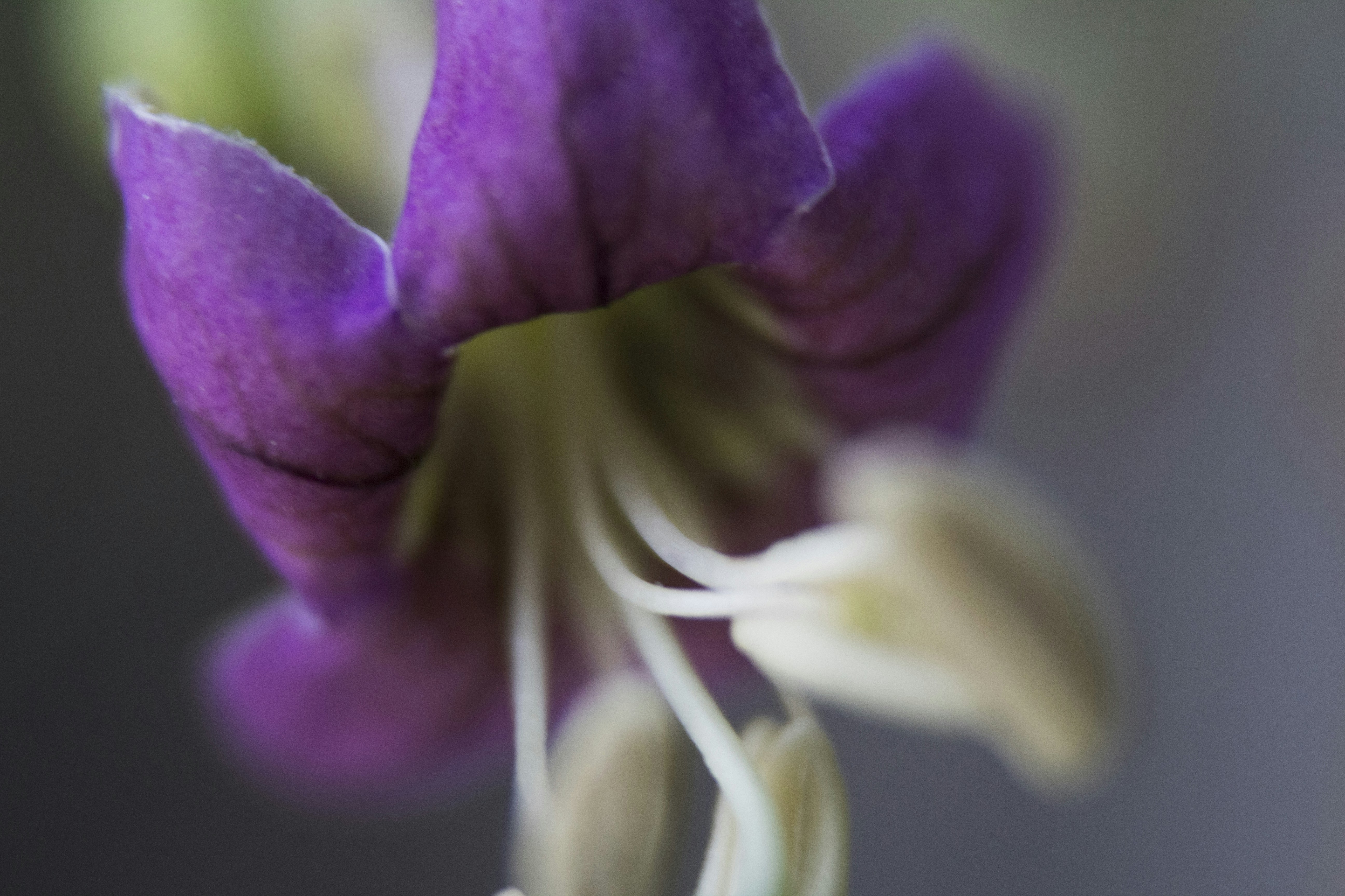 Photo by iversonmodo