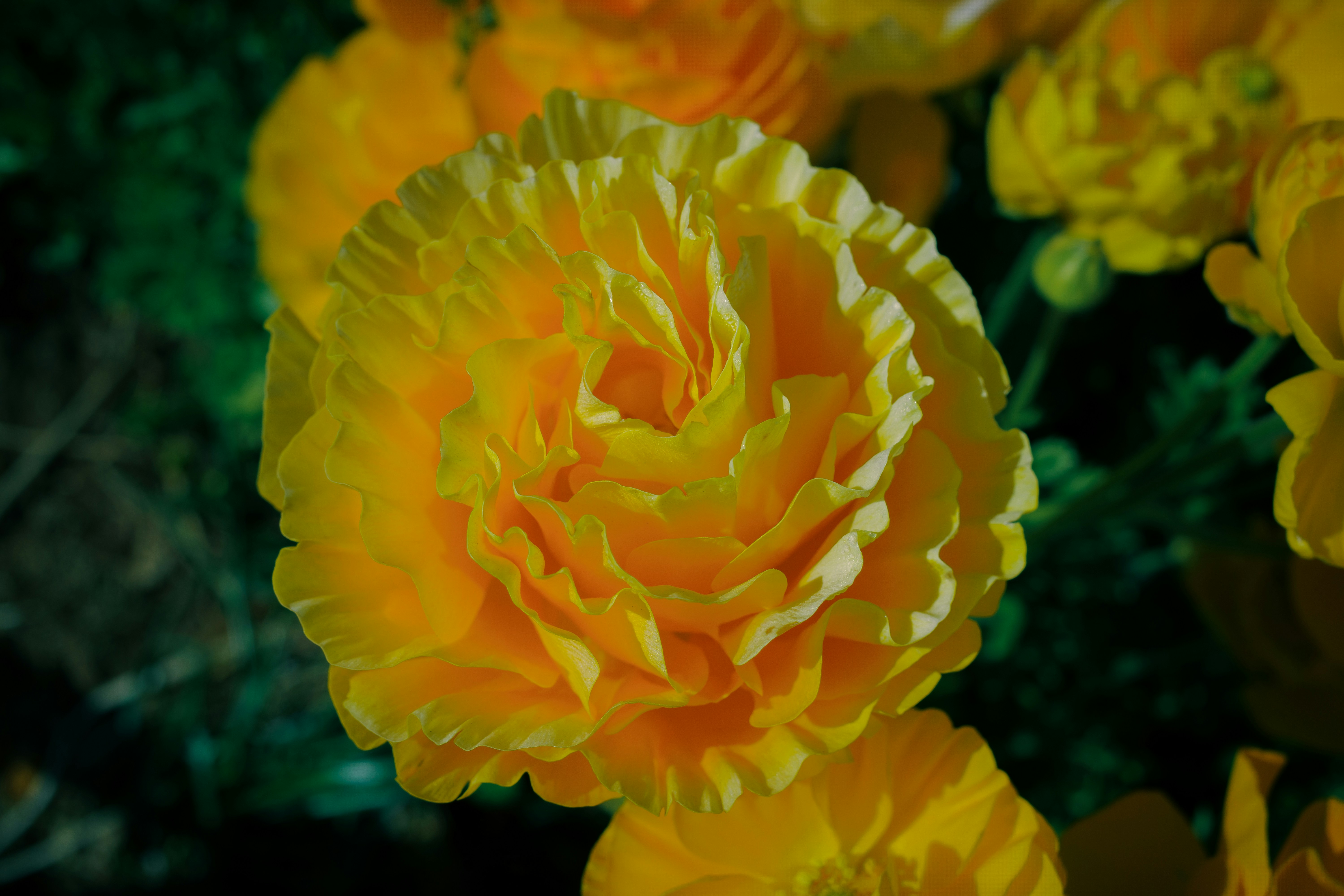 Photo by april_vasquez