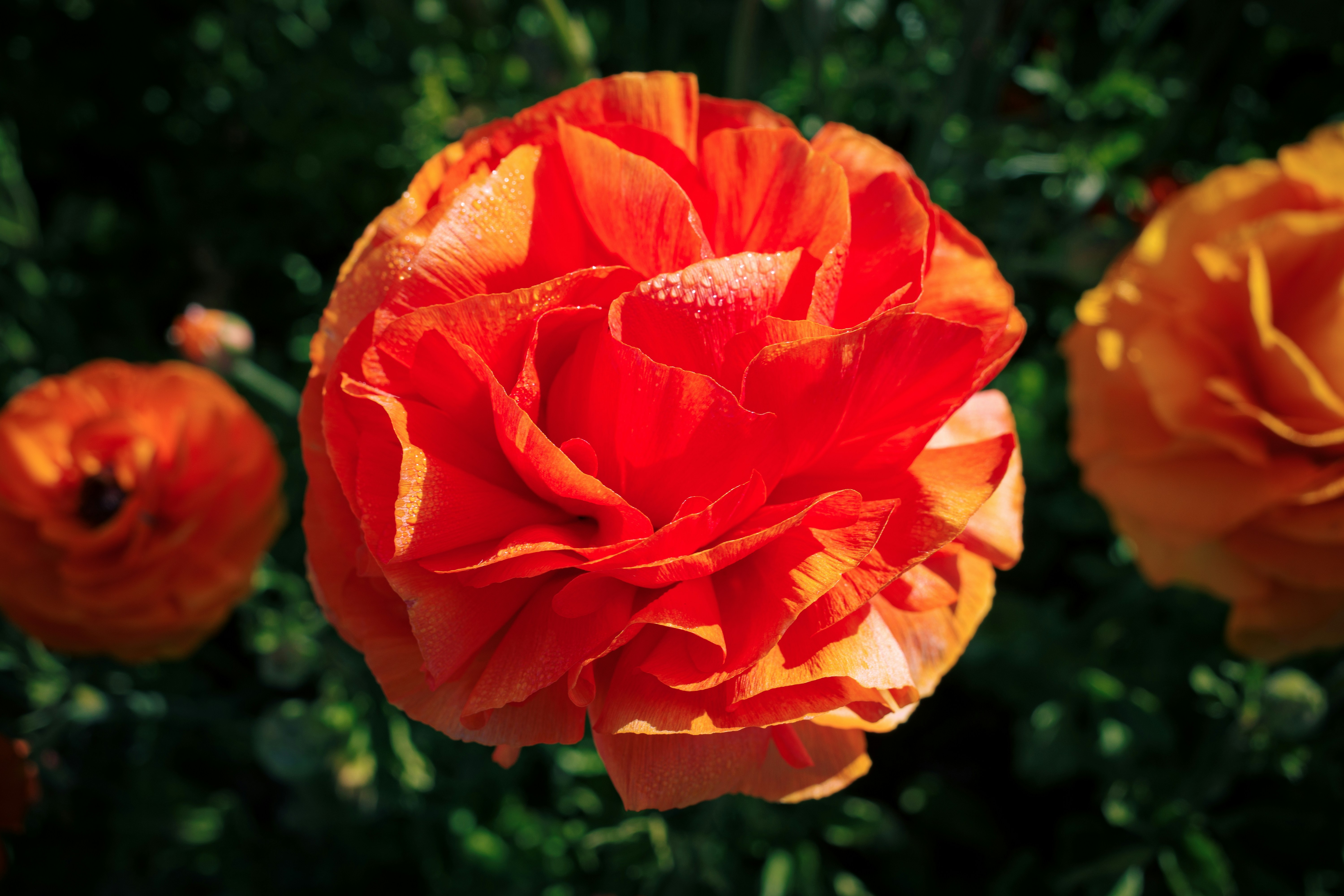 Photo by april_vasquez