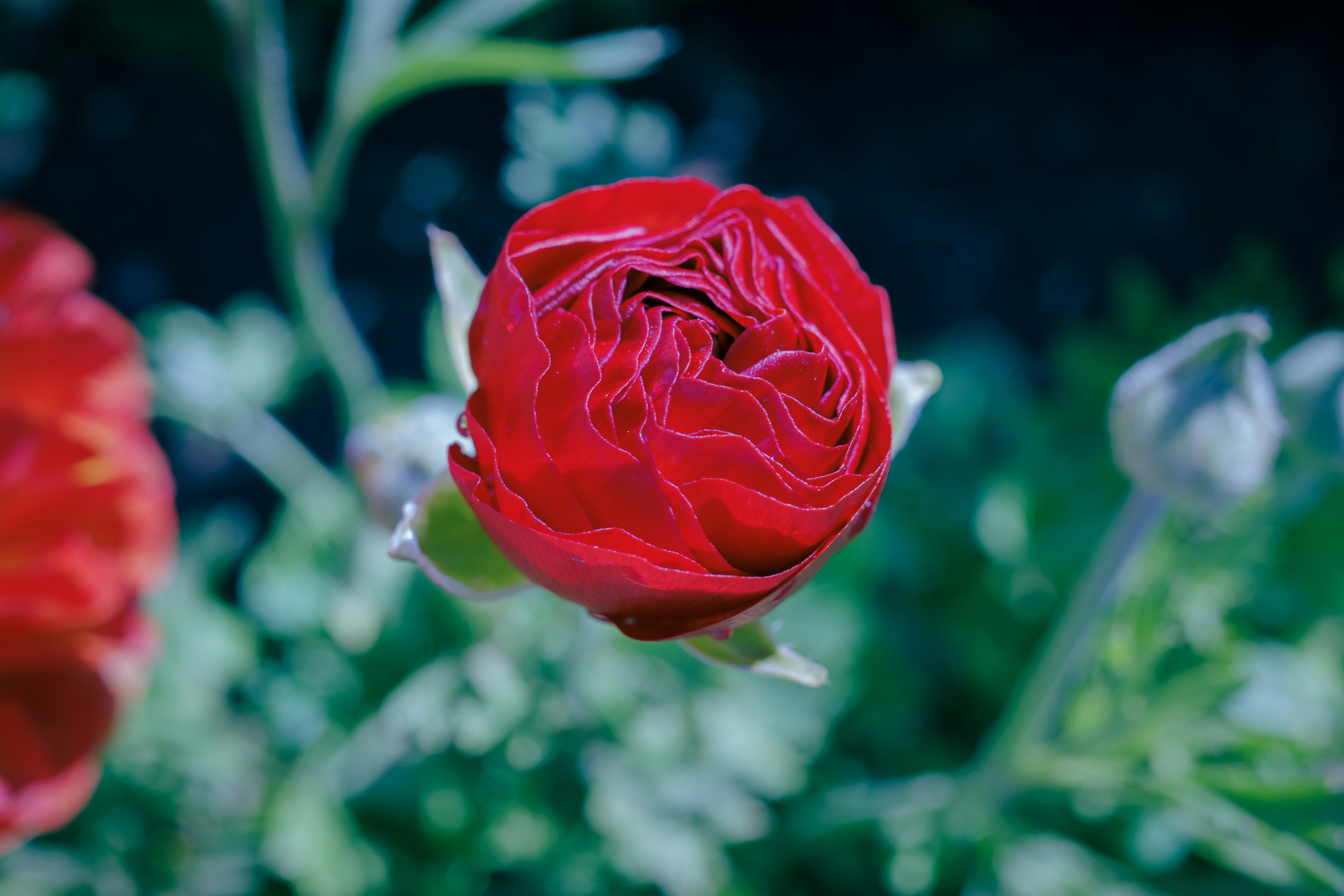 Photo by april_vasquez