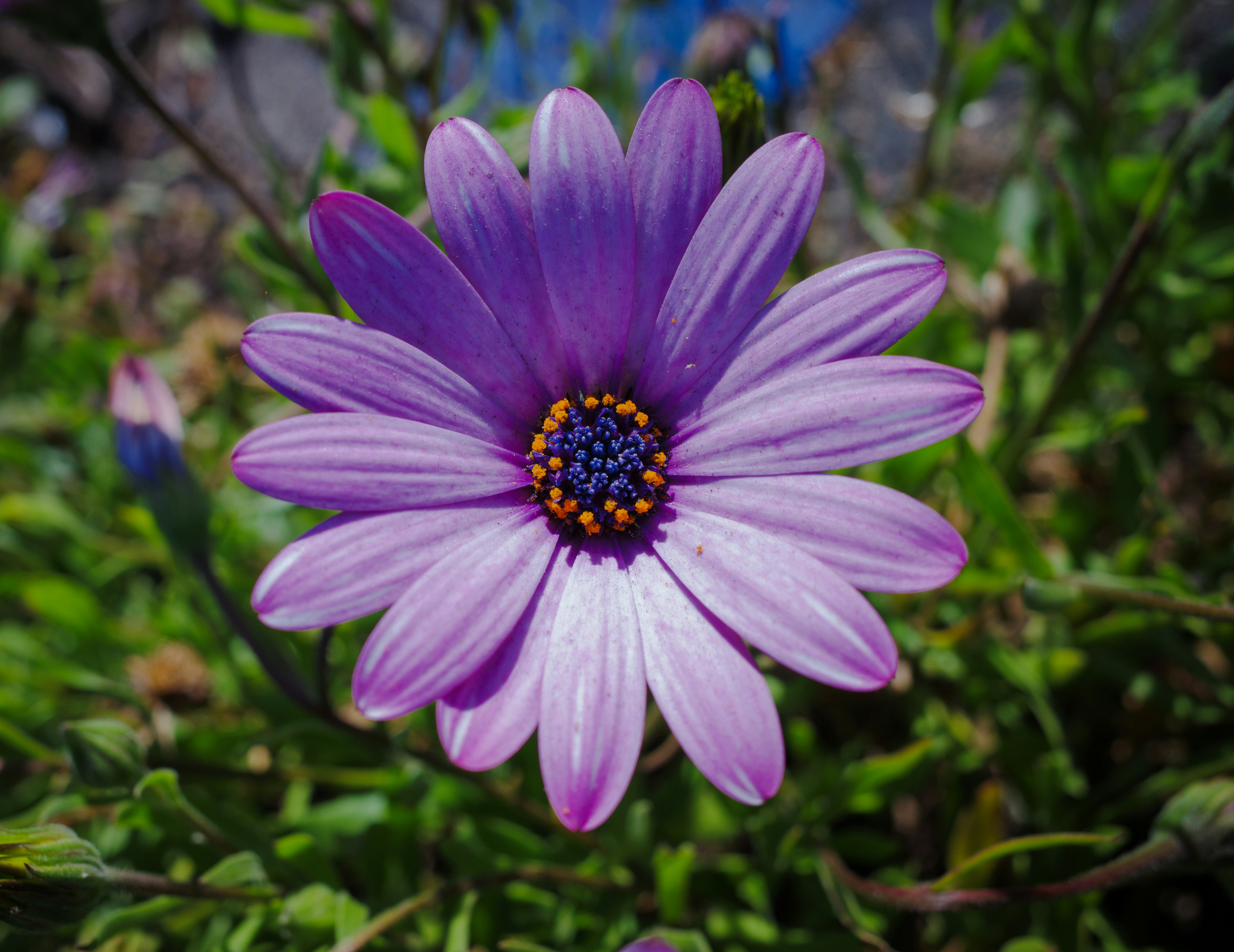 Photo by april_vasquez