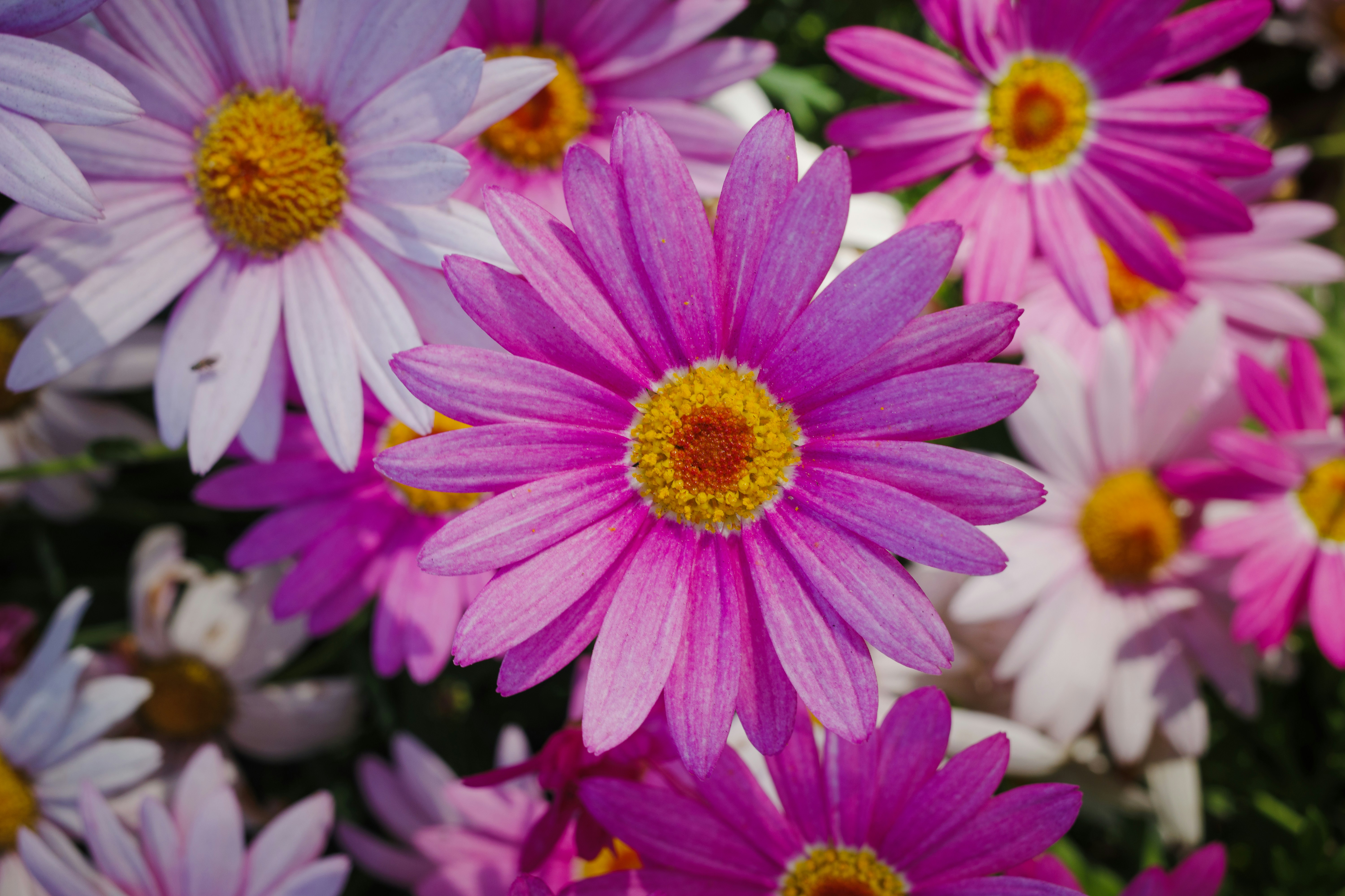 Photo by april_vasquez