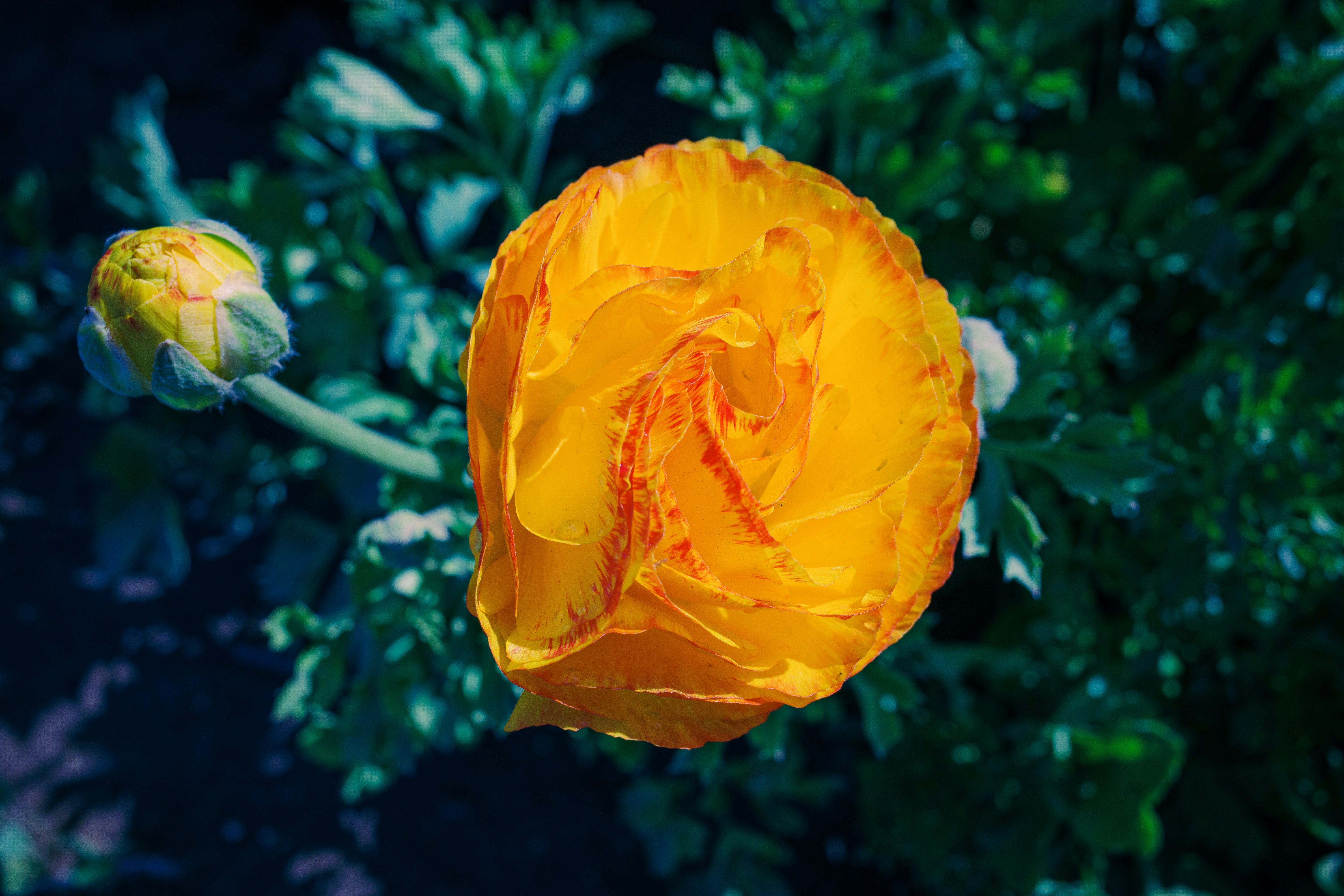 Photo by april_vasquez